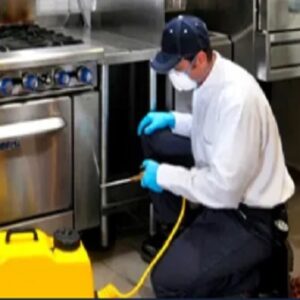 Mantenimiento de posibles entradas de fauna nociva