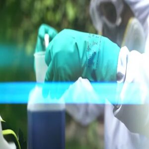 Diagnosticar el protocolo a seguir para la especie invasora